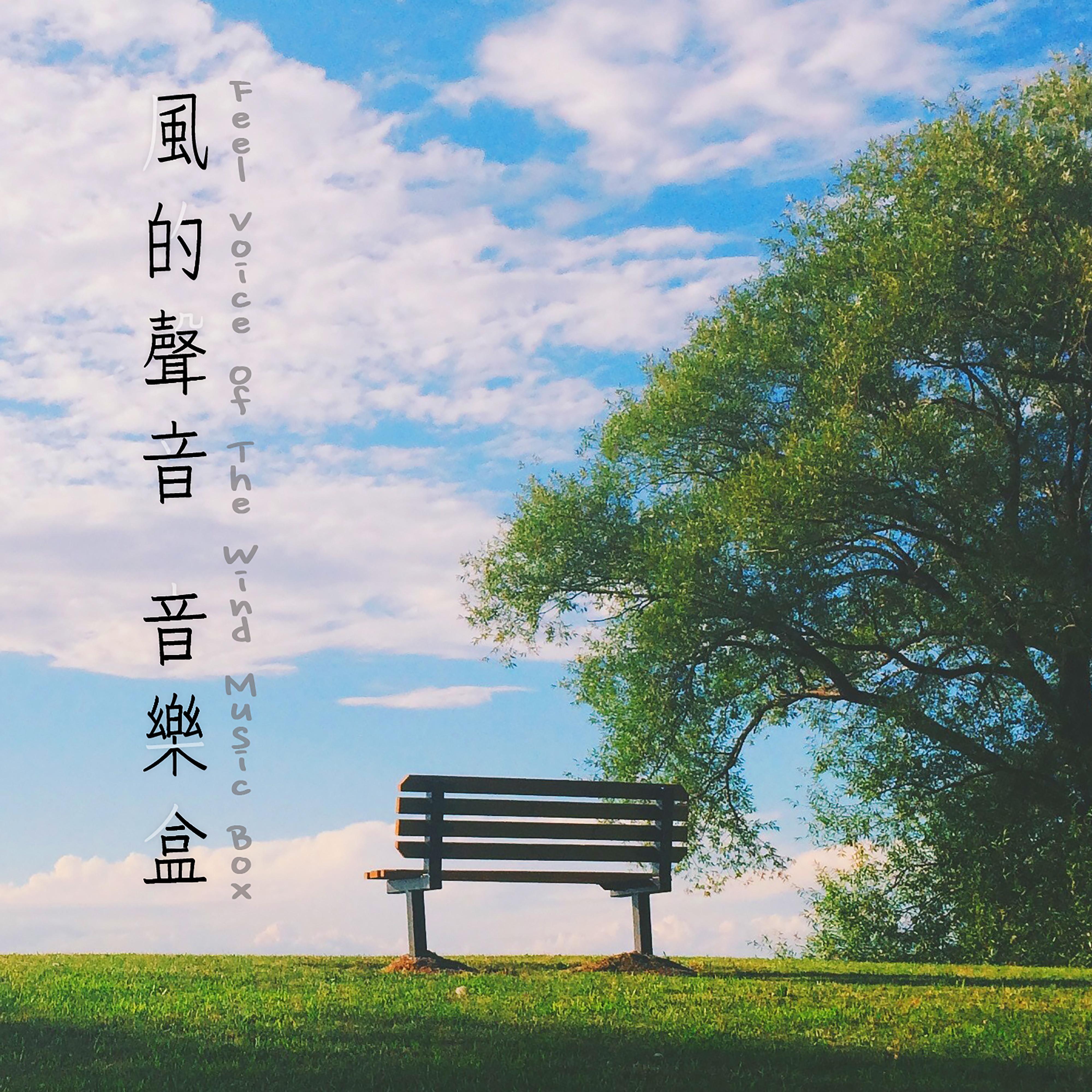阳光和煦八音盒封面