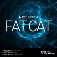 Fat Cat EP