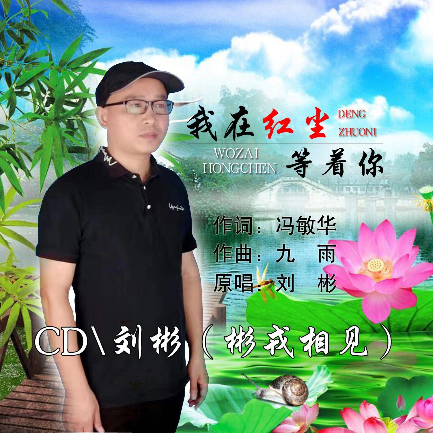 我在红尘等着你封面