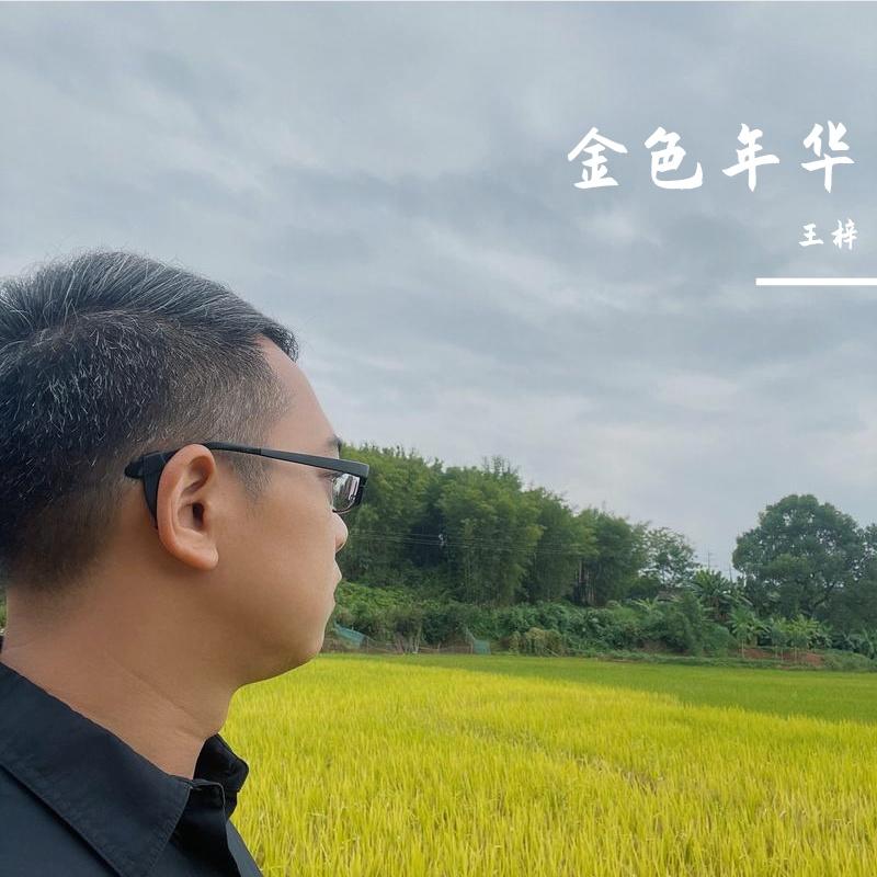 你不是真正的快乐封面