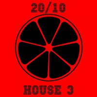 20/10 House, Vol. 3