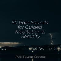 50 Rain Sounds for Guided Meditation & Serenity