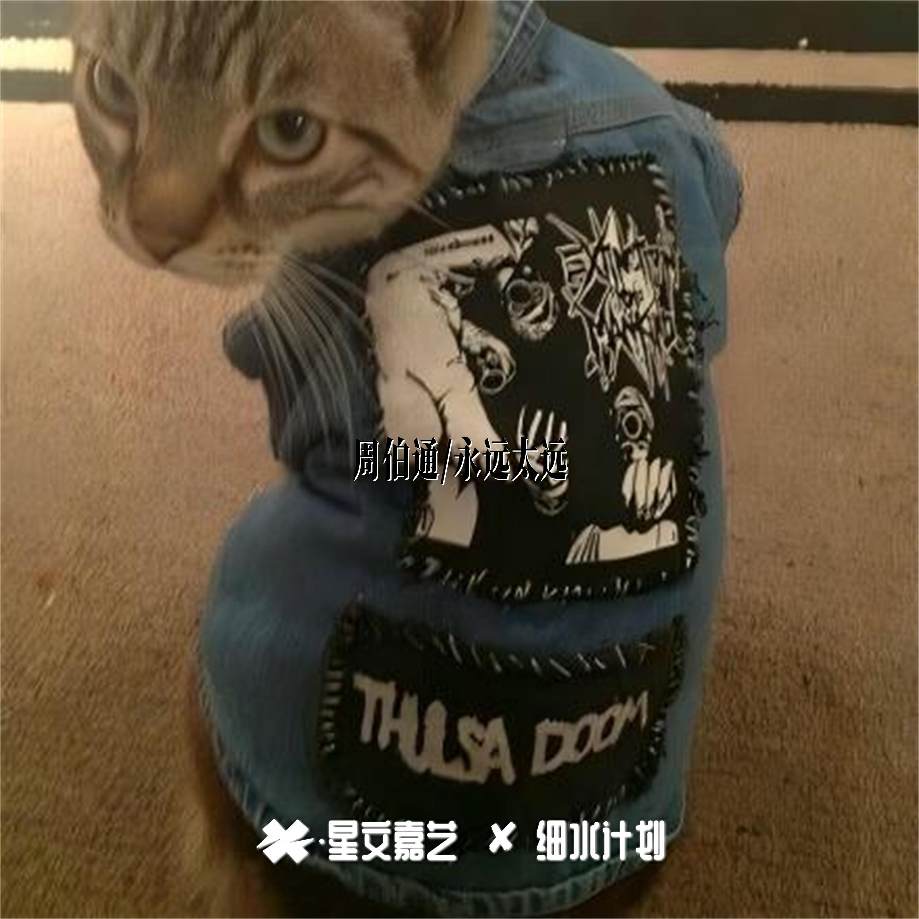 孤独的王封面