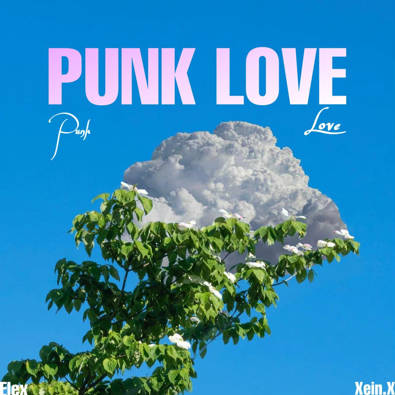 PUNK LOVE