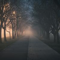 Bedtime Baby - Anxiety Removal