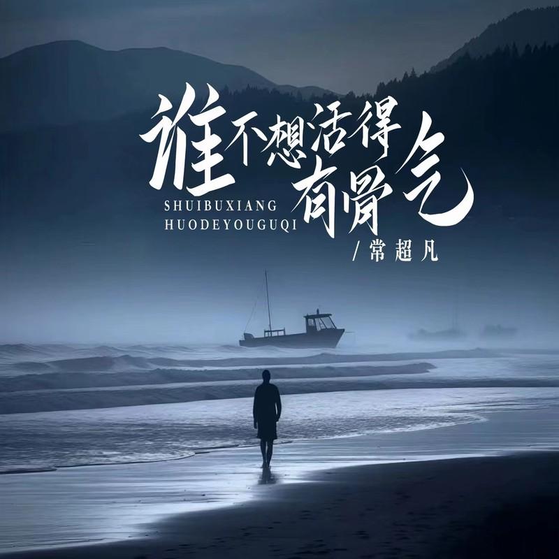 谁不想活得有骨气 (DJ版) - 常超凡封面