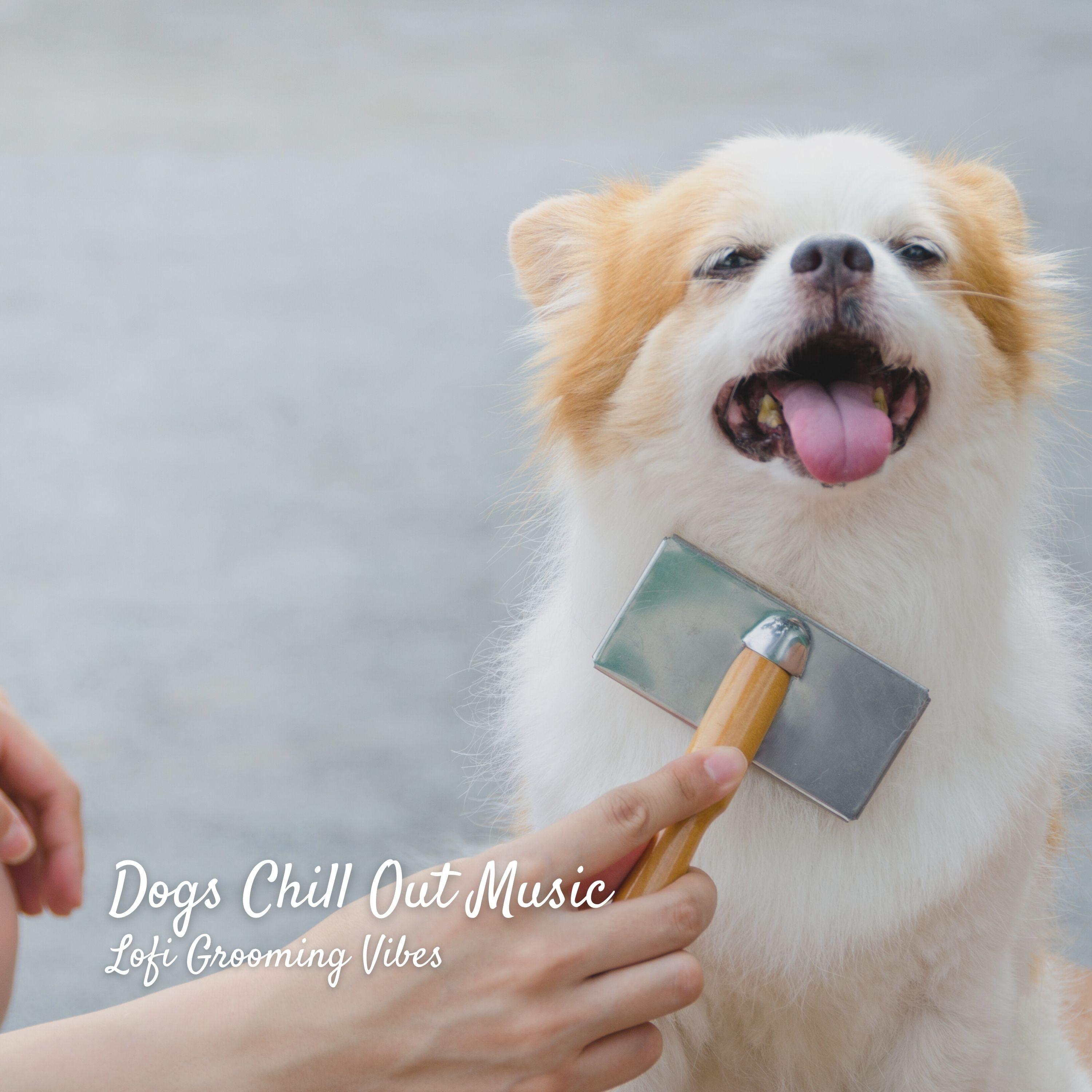 Relaxing Lofi Hip-Hop