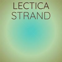 Lectica Strand