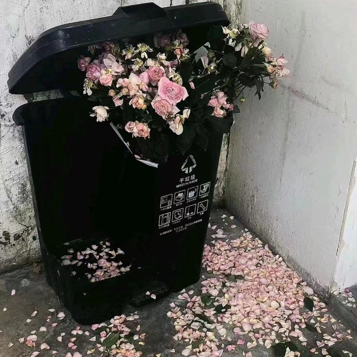 陪练封面