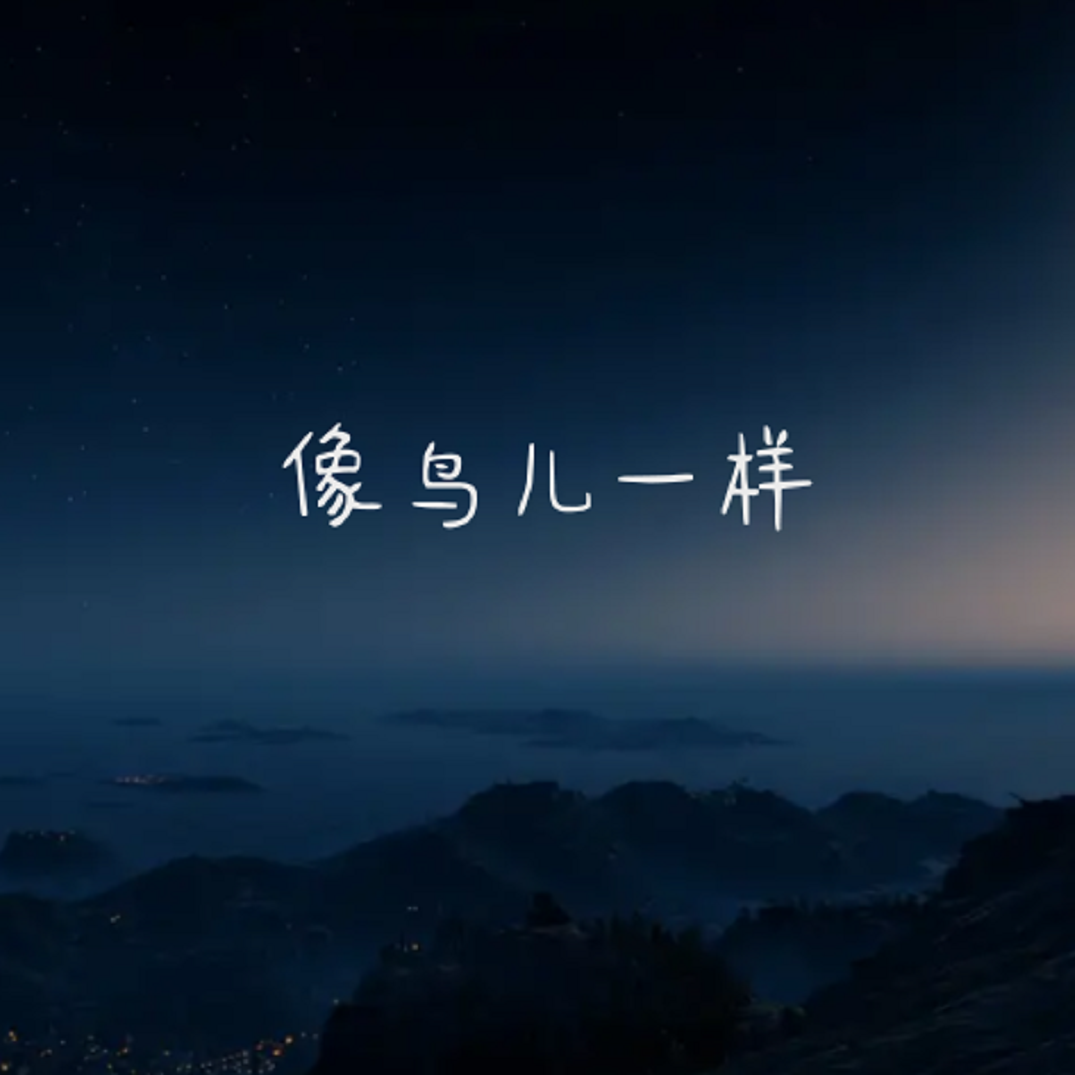 像鸟儿一样封面
