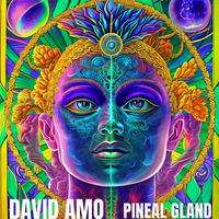 Pineal Gland