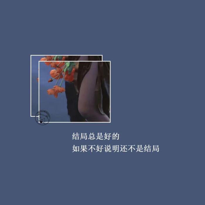 各自为伴封面