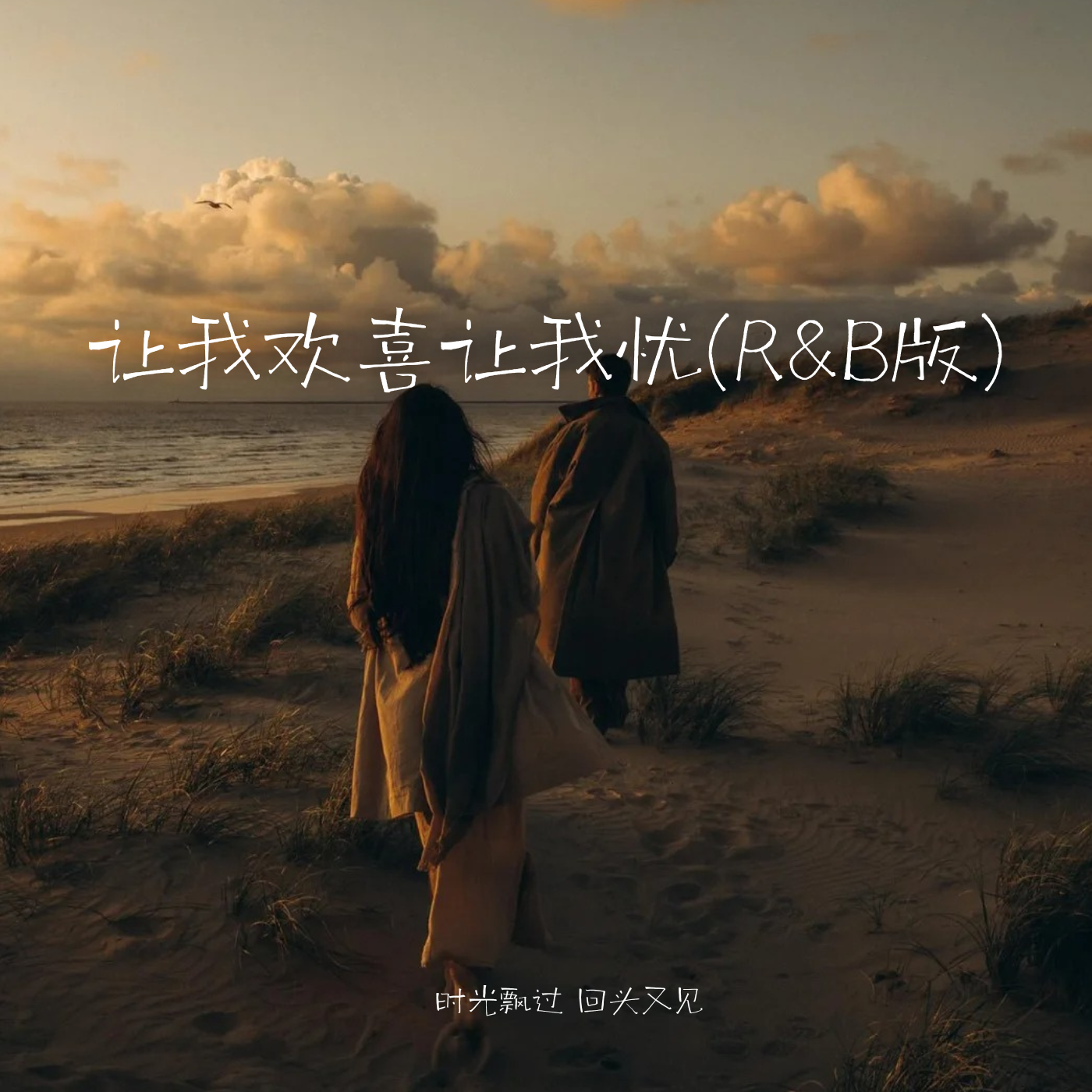 让我欢喜让我忧(R&B版)封面