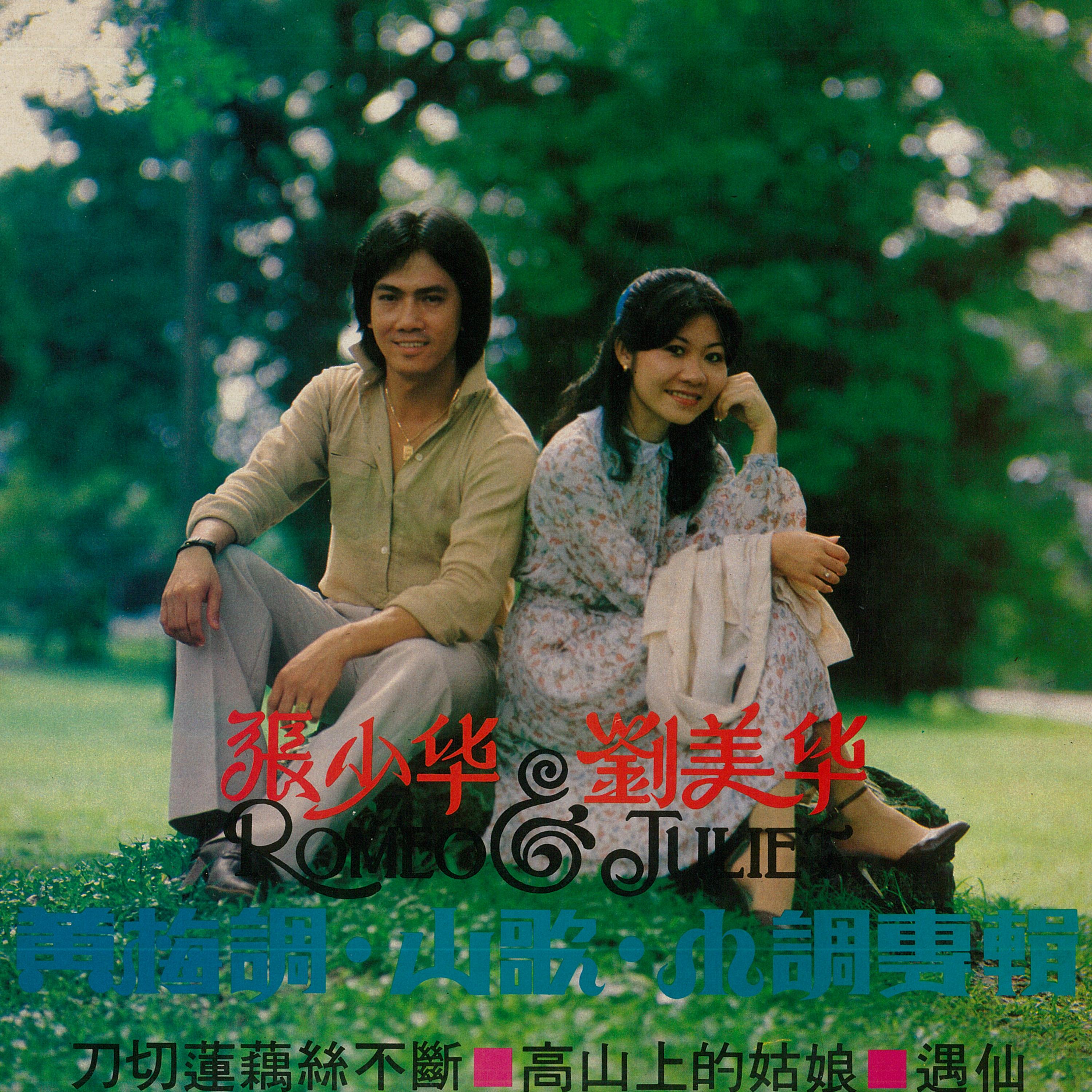 深閨怨 - 劉美華封面