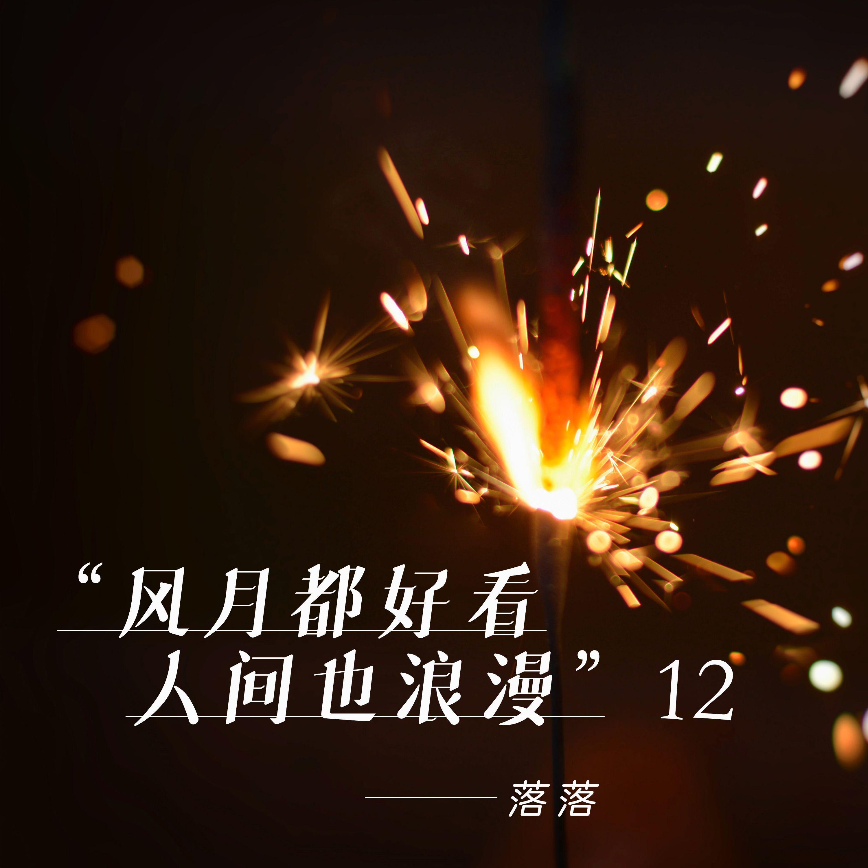 迷茫的游荡封面