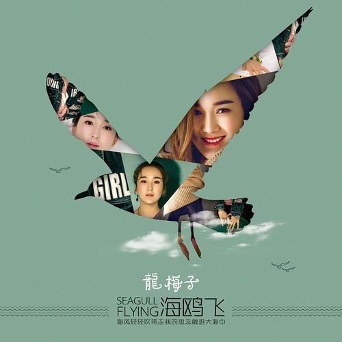 龙梅子 ·《海鸥飞》