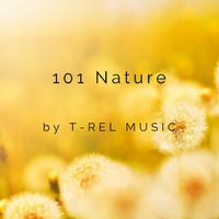 101 Nature资料,101 Nature最新歌曲,101 NatureMV视频,101 Nature音乐专辑,101 Nature好听的歌