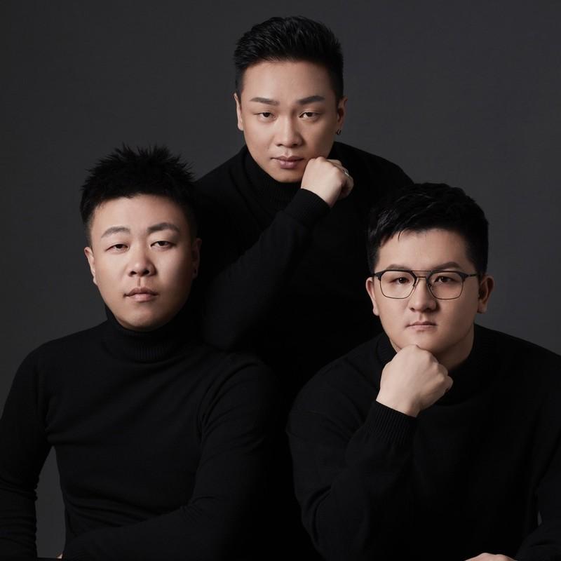 谁不是在流浪封面