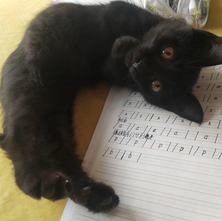 sSheep-♡确保你感受到这份爱♡（简明 remix）