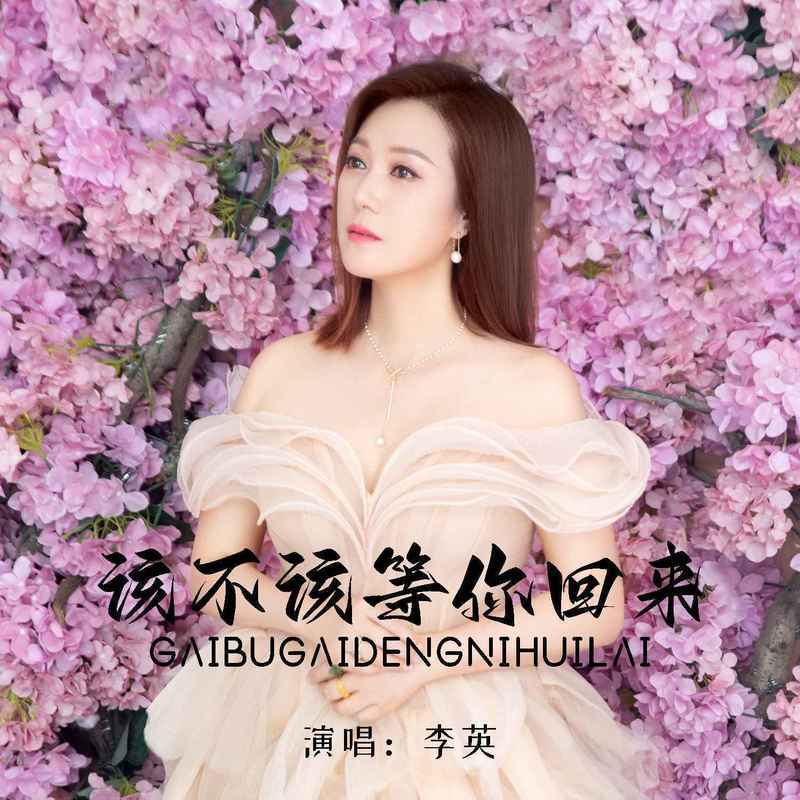 该不该等你回来 (DJ默涵版) - 李英封面