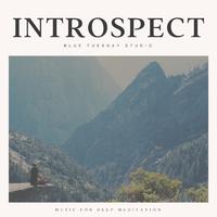 Introspect