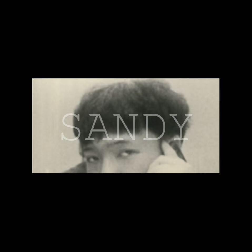 Sandy封面