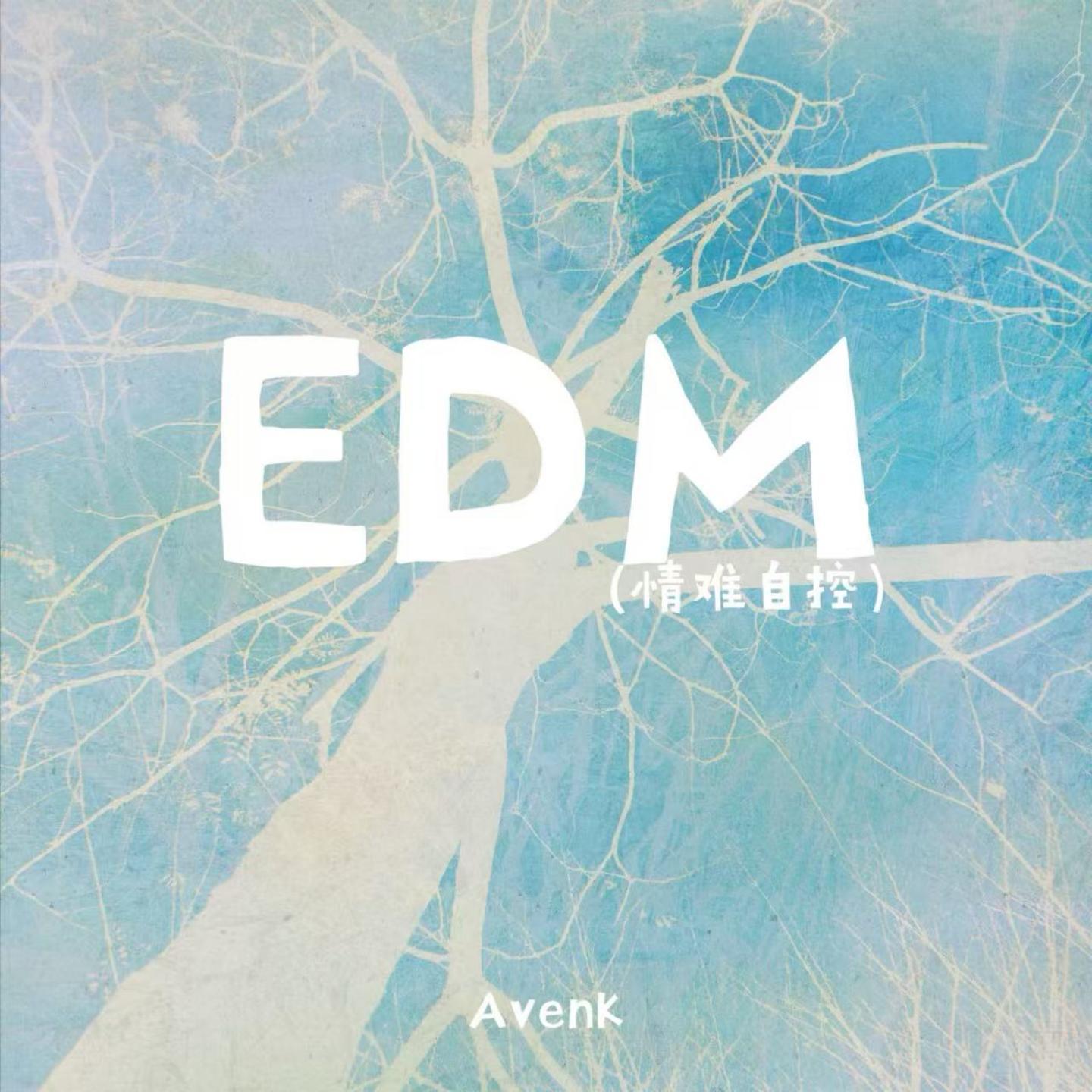EDM(情难自控)封面