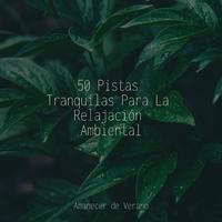 50 Pistas Tranquilas Para La Relajación Ambiental