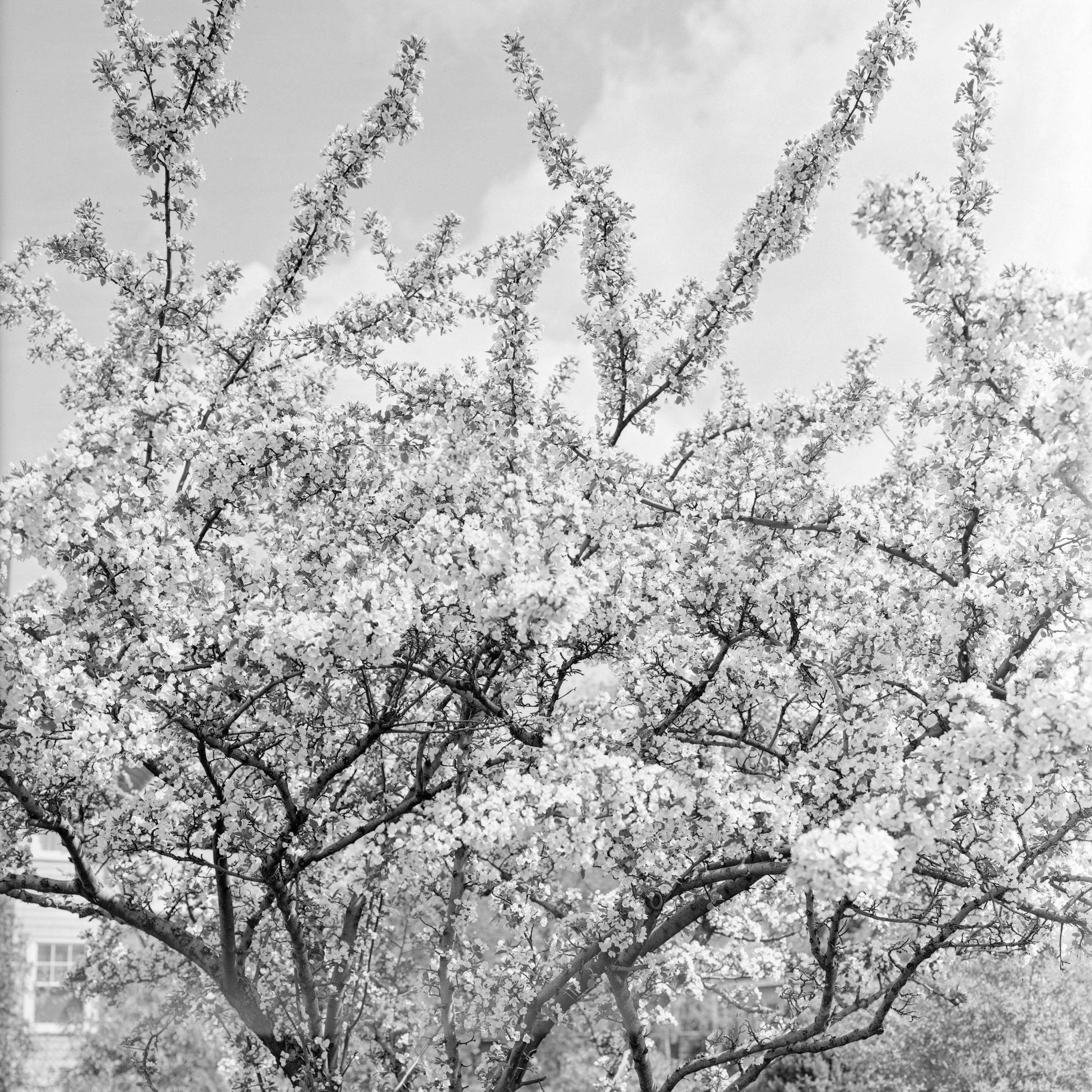 tattoo(feat.Jay Klair)