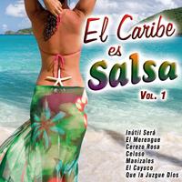 El Caribe Es Salsa - Vol. 1