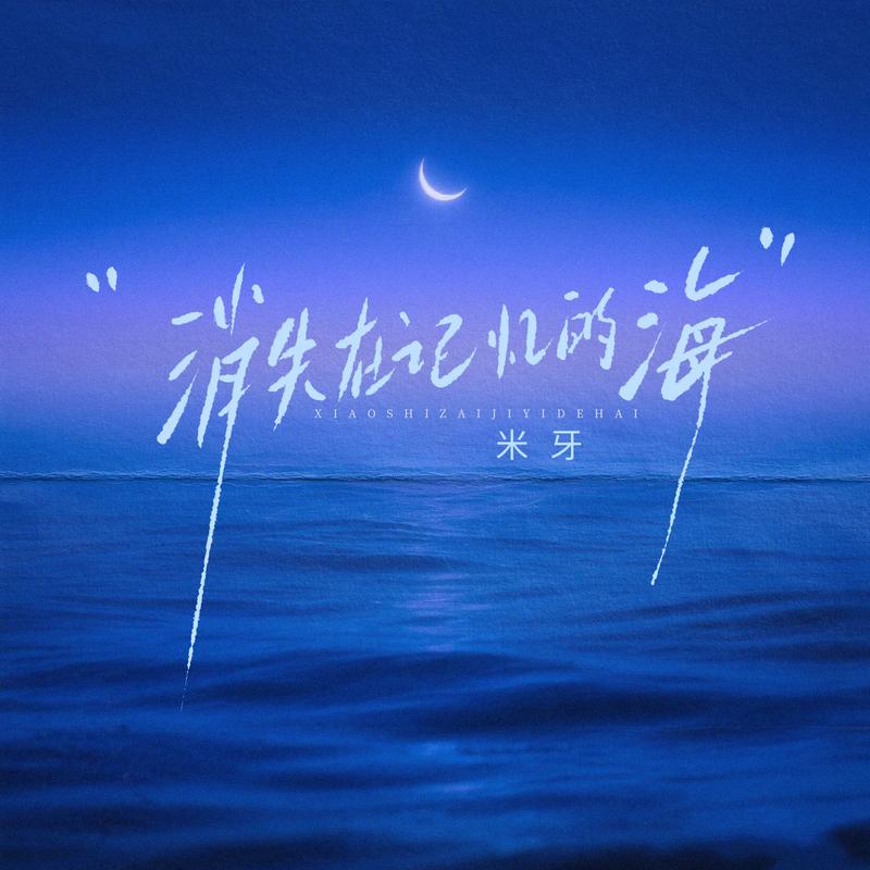 消失在记忆的海 (1.2X)封面