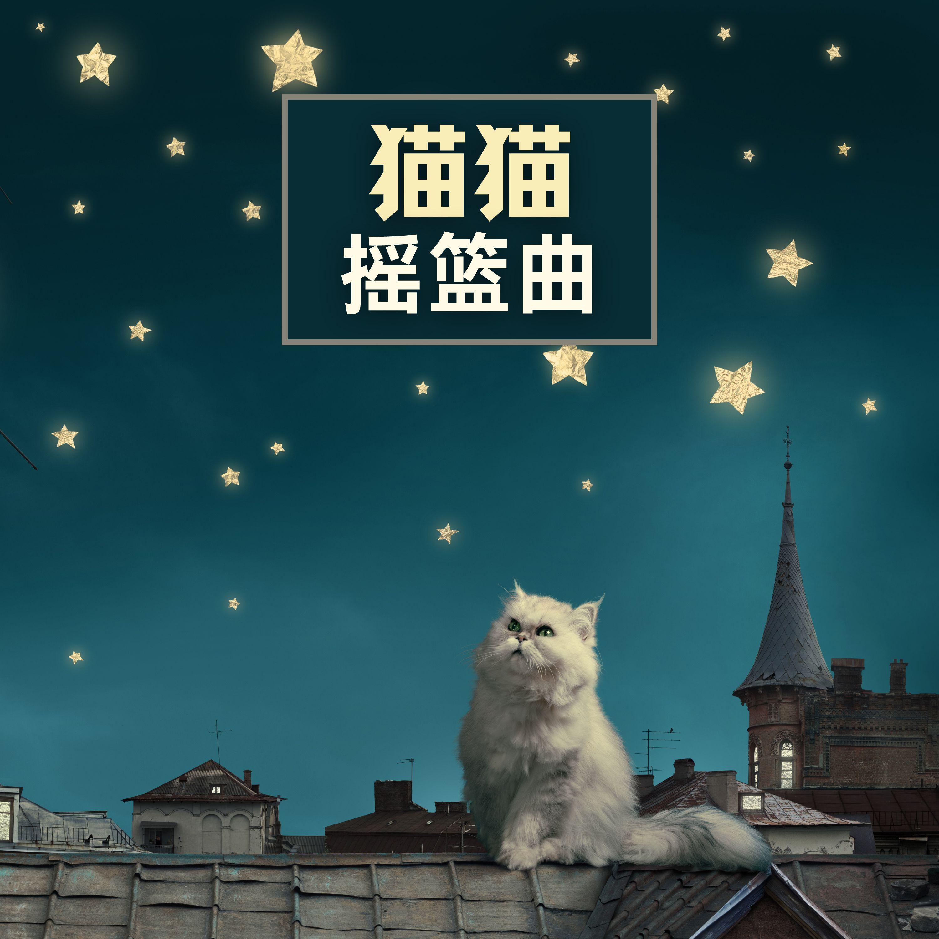 猫猫摇篮曲封面
