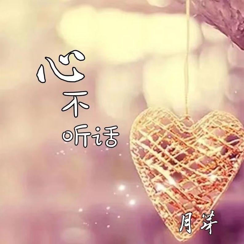 肩上的云封面