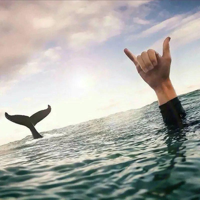 摇摆战将（Remix）