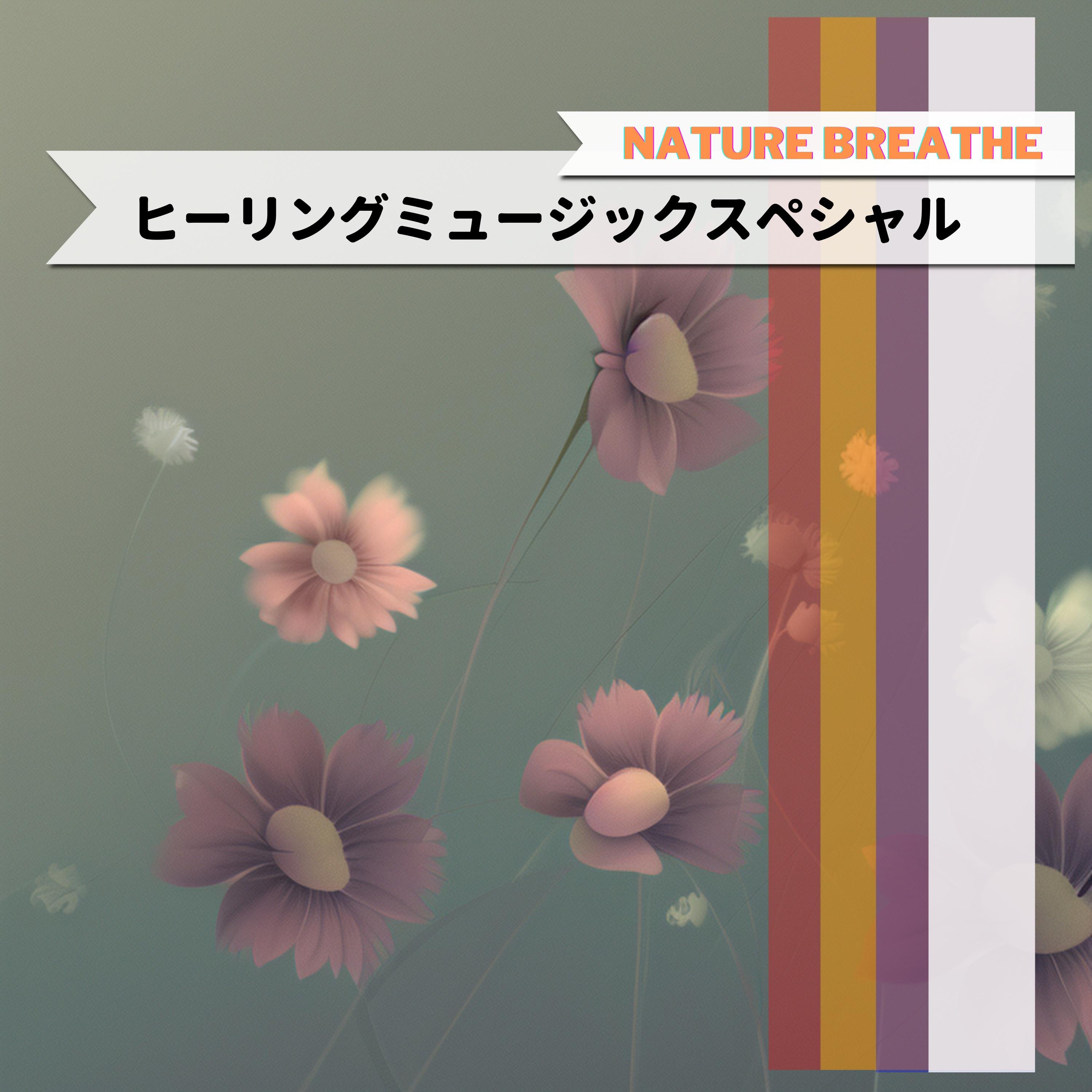 Radiant Glow of Evening Light