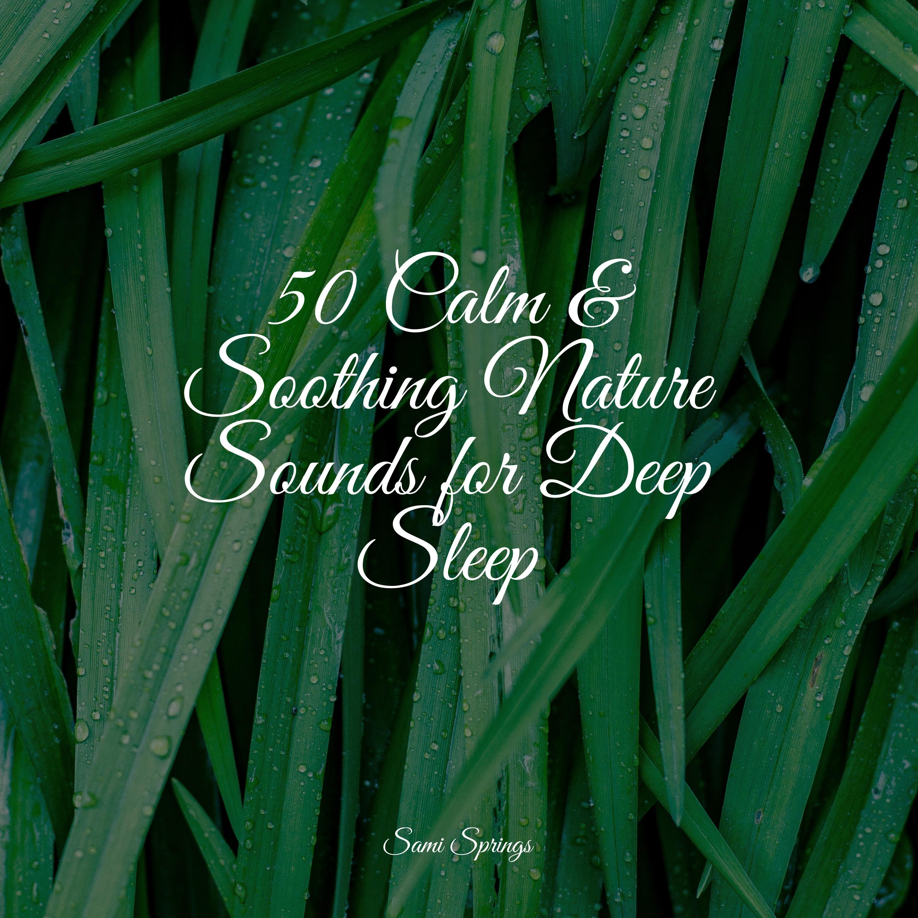 50 Calm & Soothing Nature Sounds for Deep Sleep - Sons da natureza HD ...