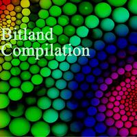 Bitland