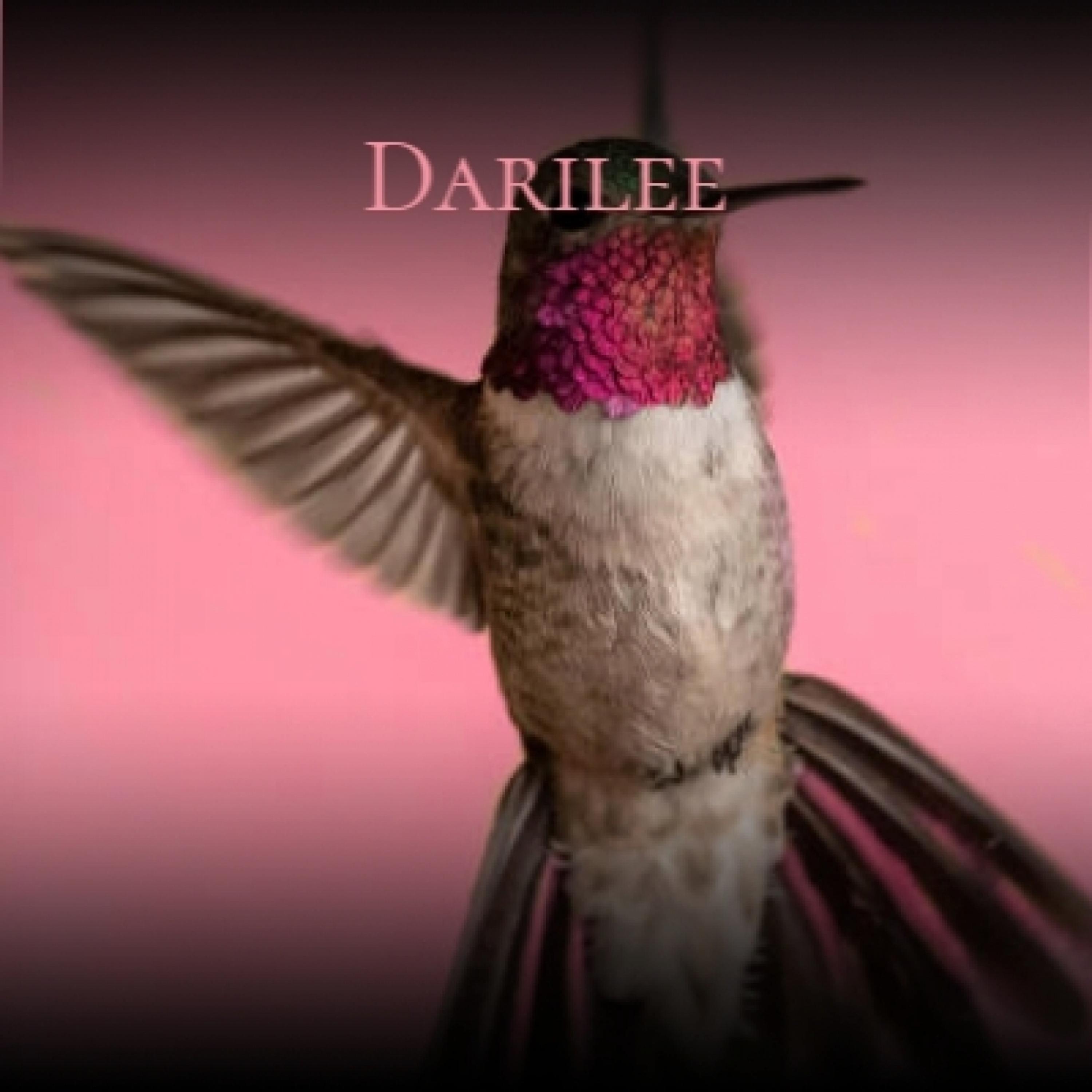 Darilee