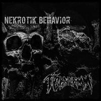 Nekrotik Behavior