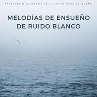 Melodías De Ensueño De Ruido Blanco: Paisajes Nocturnos Relajantes Para El Sueño