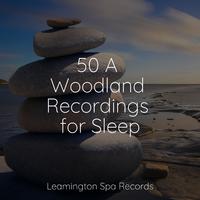 50 A Woodland Recordings for Sleep