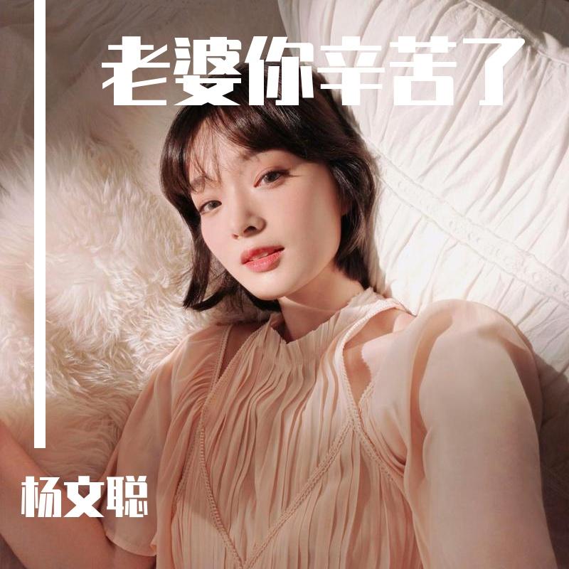 杨文聪 - 老婆你辛苦了封面