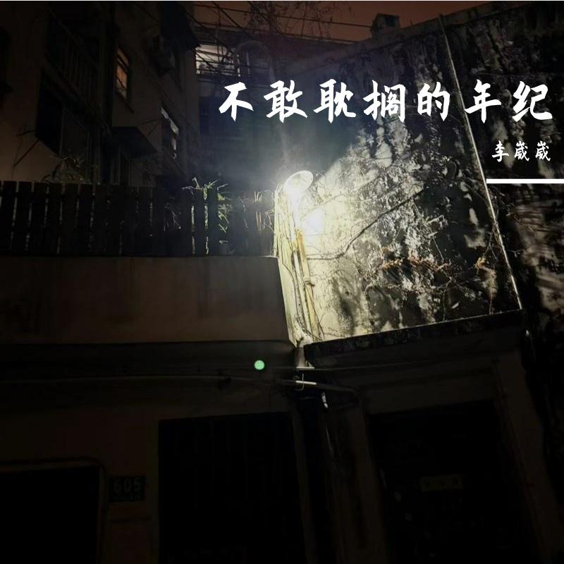 不敢耽搁的年纪 伴奏封面