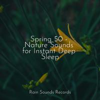 Spring 50 - Nature Sounds for Instant Deep Sleep