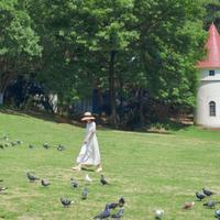 阮Stella资料,阮Stella最新歌曲,阮StellaMV视频,阮Stella音乐专辑,阮Stella好听的歌