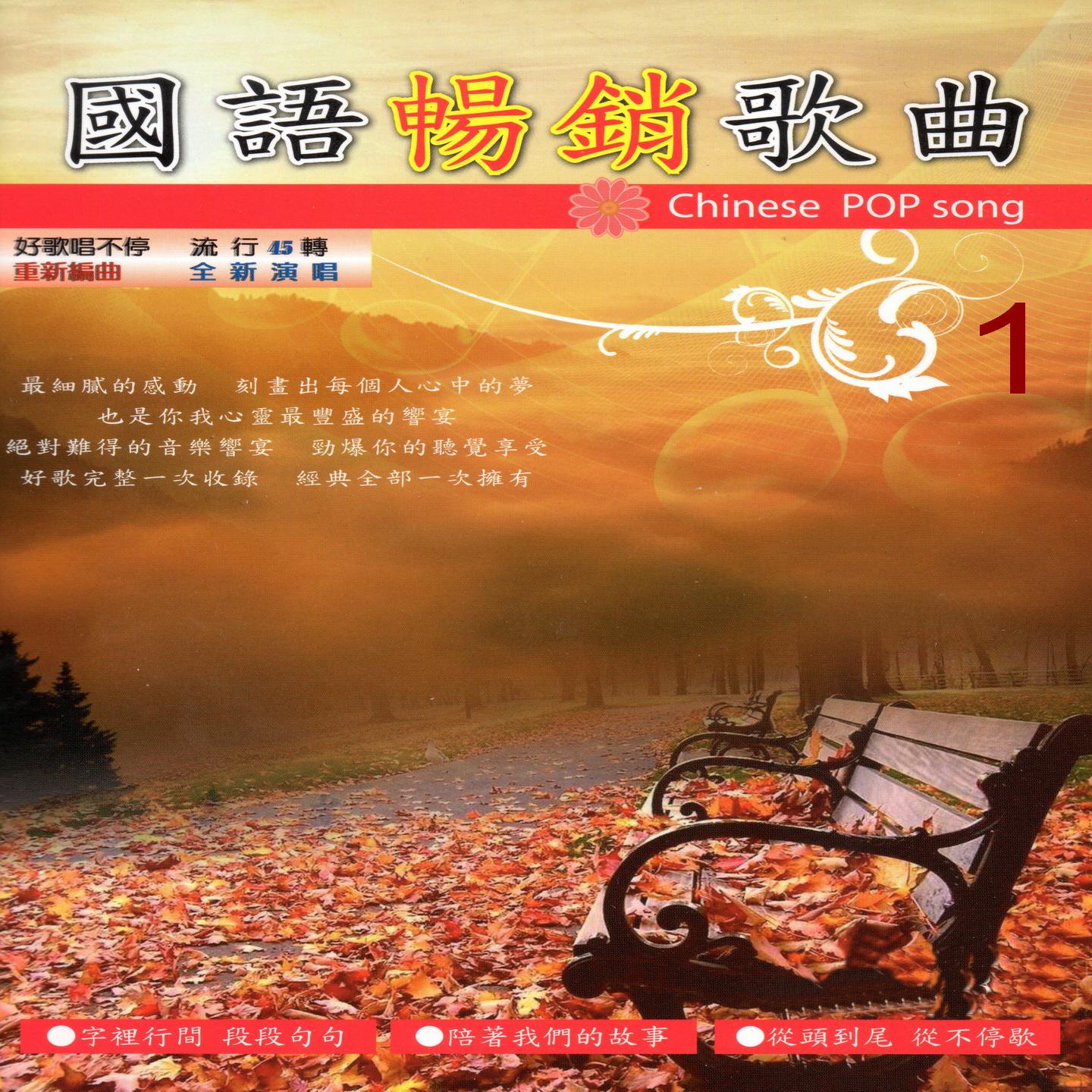 寶貝 對不起 + 難以罷休(花心) + 我愛你 + 求婚 + 你說你比較習慣一個人 + 海鷗飛呀飛 + 你是我心底的烙印 + 天使在夜裡哭 + 你的寶貝 + 相知相守 + 停不了的愛 + 寧願我傷心 + 等你等到我心痛 + 當愛已成往事 + 有情人被無情傷 組曲 (組曲)封面