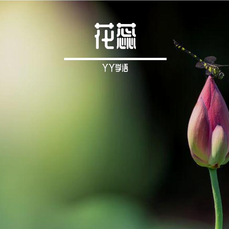 一瞬间有点想念封面