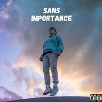 Sans importance