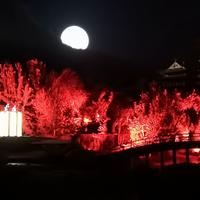 四阿哥资料,四阿哥最新歌曲,四阿哥MV视频,四阿哥音乐专辑,四阿哥好听的歌