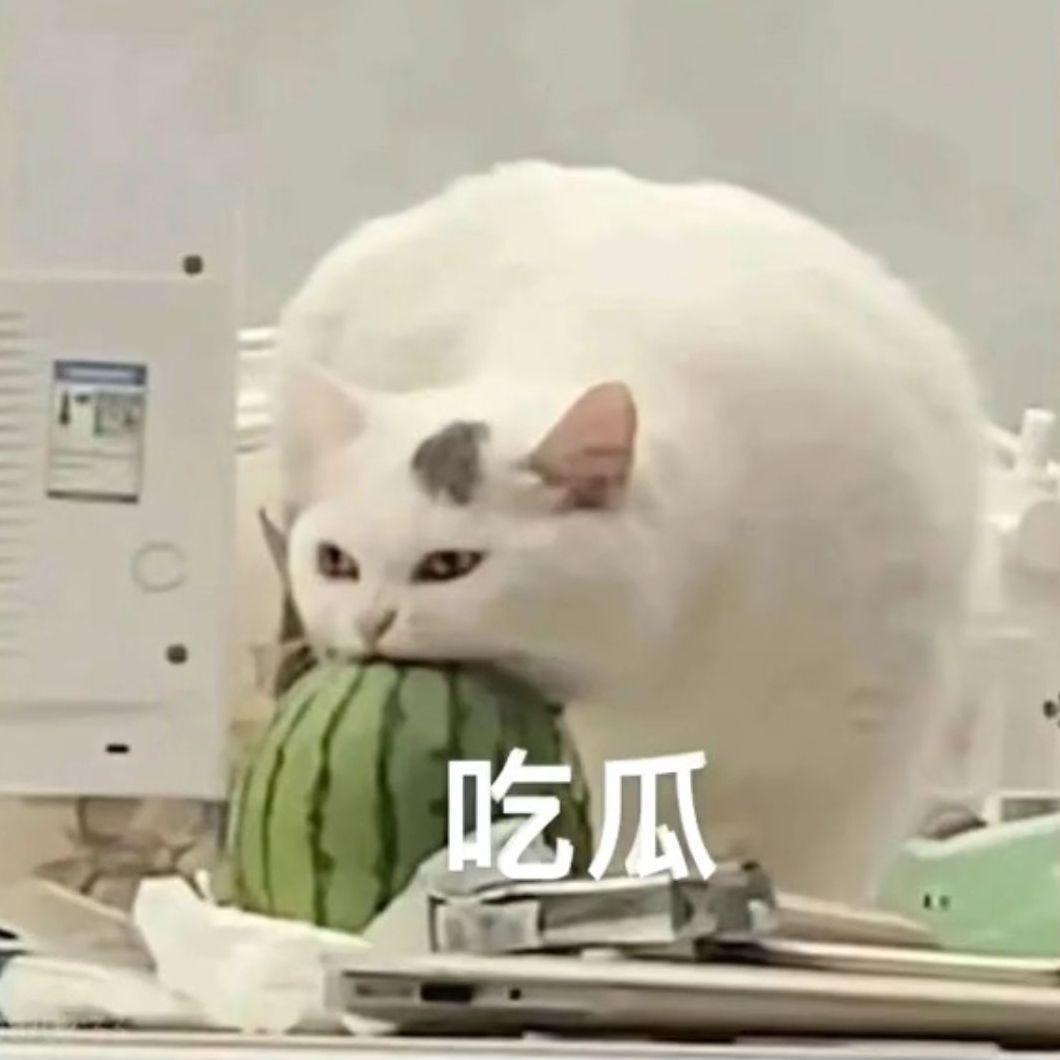 能不能【翻自：吴映香】